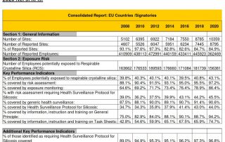 informe nepsi 2020