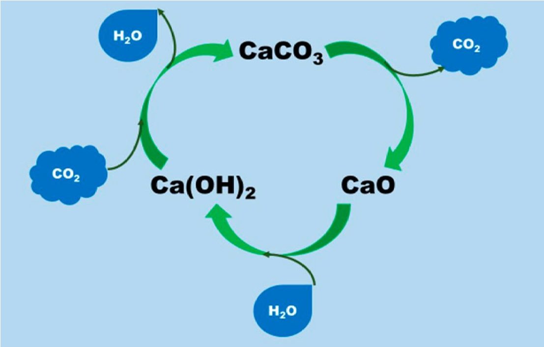 La  Cal y la captura del CO2
