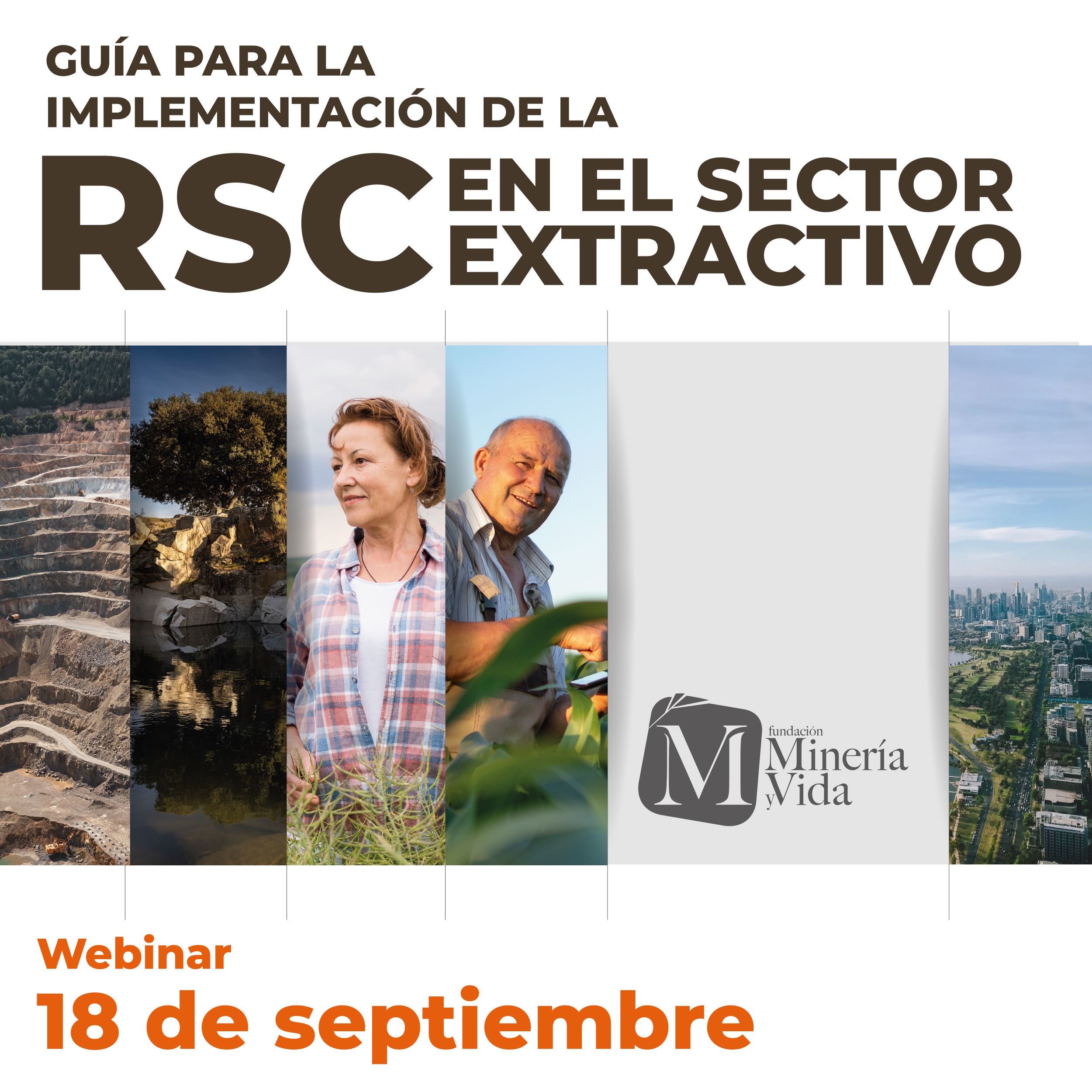 Webinar guía RSC